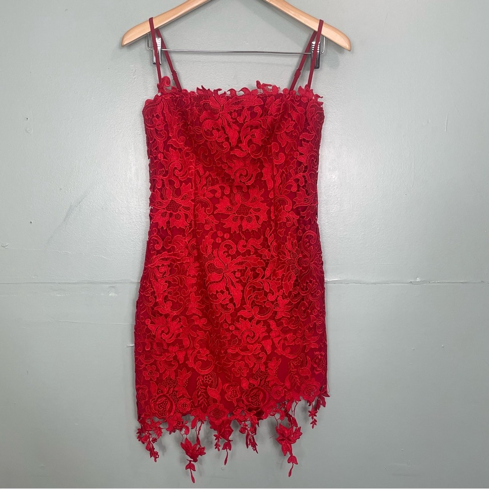 Revolve NBD Yosemite Mini Dress in Red Cherry Laced Floral Lined Size Small - Picture 3 of 10